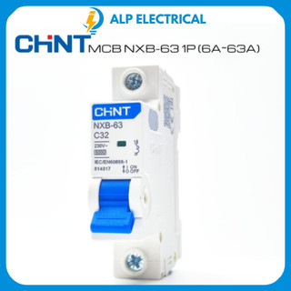 Aptomat mcb 2 pha nxb-63 chint 6a~63a, chính hãng
