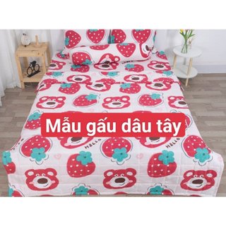 Bộ ga gối kèm vỏ gối ôm đủ kích thước