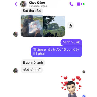 Mồi Câu Siêu Chép A34