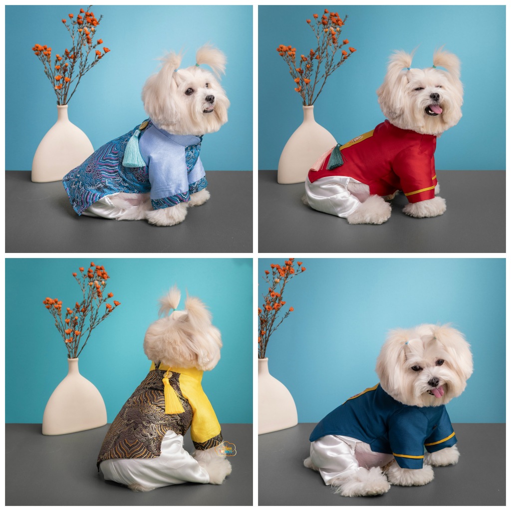 Áo Dài Tết Cho Chó Mèo Bộ Sưu Tập Vinh Hoa 2024 Quần Áo Tết Cho Thú Cưng Thiết Kế Thời Trang Cao Cấp Hiha Pets VTT2
