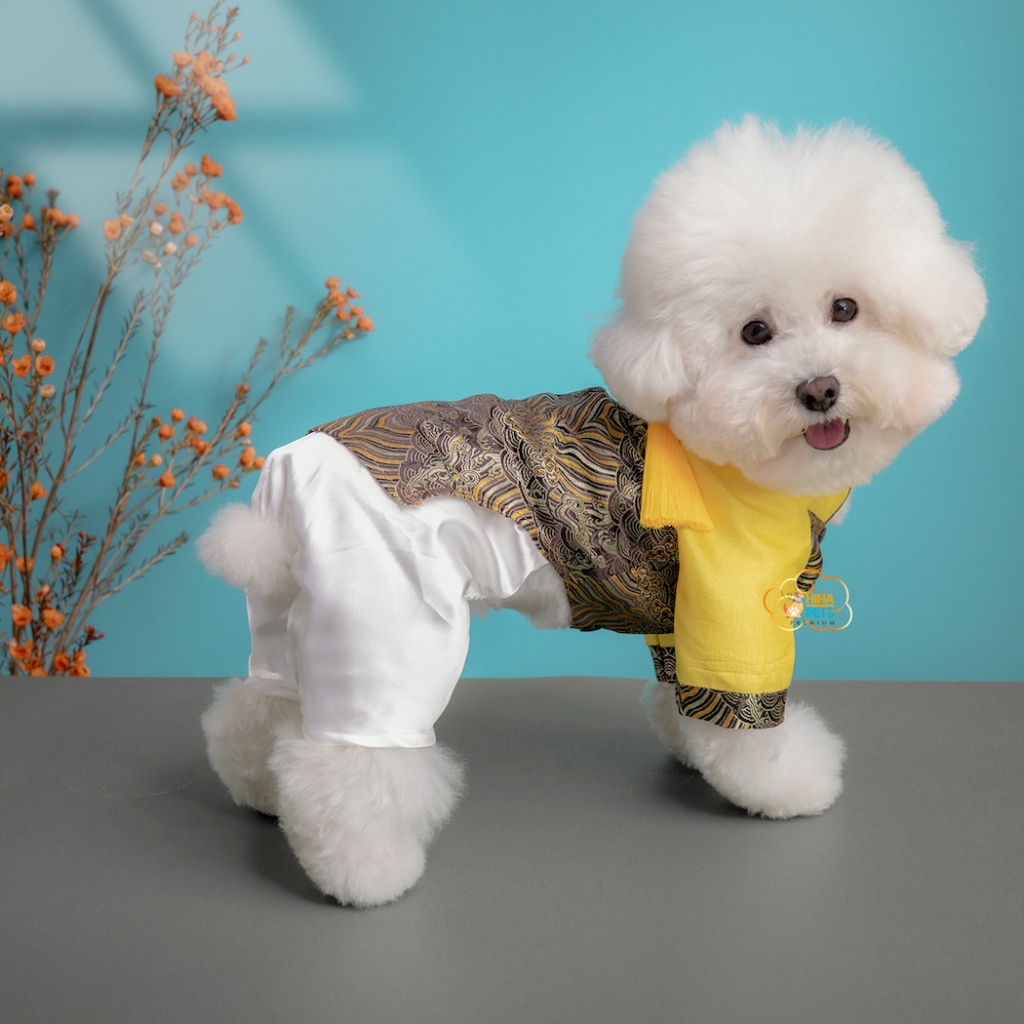 Áo Dài Tết Cho Chó Mèo Bộ Sưu Tập Vinh Hoa 2024 Quần Áo Tết Cho Thú Cưng Thiết Kế Thời Trang Cao Cấp Hiha Pets VTT2