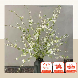  Cành Hoa Mã Thiên Hương   Tuyết Mai   - Cao 1m1 - Trang Trí Nhà Cửa 