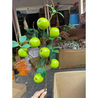 cành quả táo