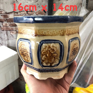 Chậu bonsai mini BT giả cổ