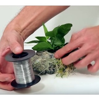 Dây cước thủy sinh - Dây cước buộc rêu, lũa cho bể thủy sinh