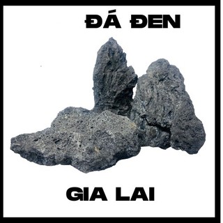 Đá đen Gia Lai - Đá set up bể thủy sinh