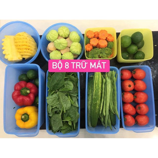 set 8 hộp trữ mát và đông