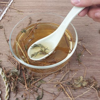 Cây mắc cỡ ( xấu hổ ) khổ 1kg - Tấn Phát - Hàng sạch thơm cao cấp