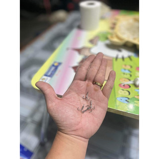 LƯỠI BKK BA TIÊU ( thay thế cá sắt....)