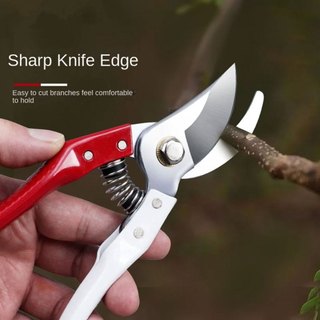 KÉO CẮT TỈA CÀNH CÂY NHẬT BẢN LƯỠI SK5 DỤNG CỤ LÀM NHÀ VƯỜN BONSAI