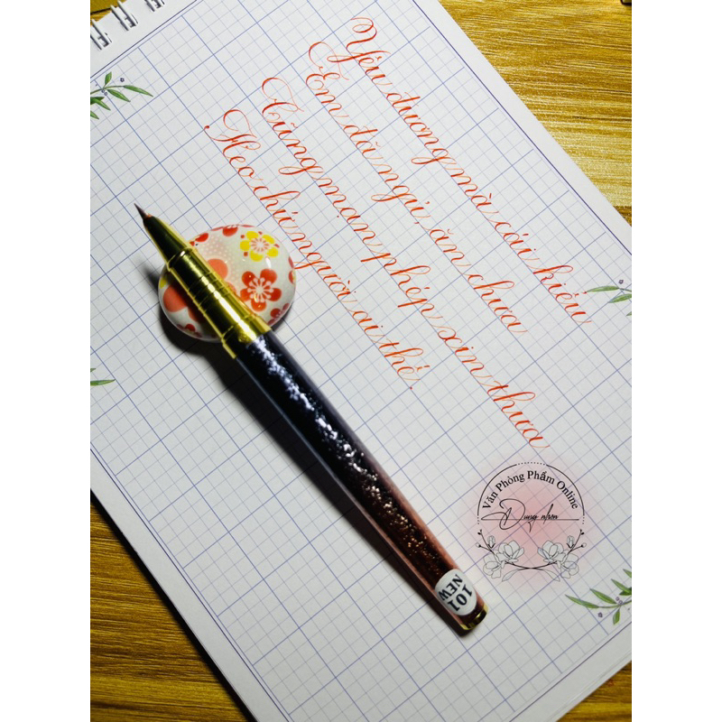 Bút Hn T09
