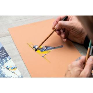 [ARBAT] Set chì phấn Cretacolor Pastel Pencil 12 màu