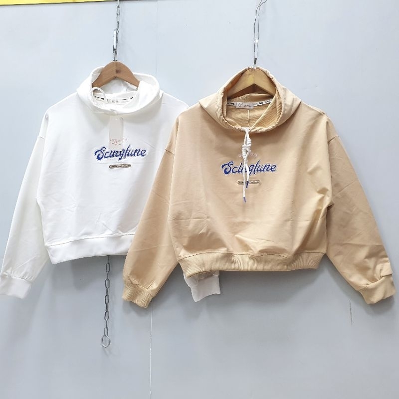 Áo thu đông croptop, có mũ