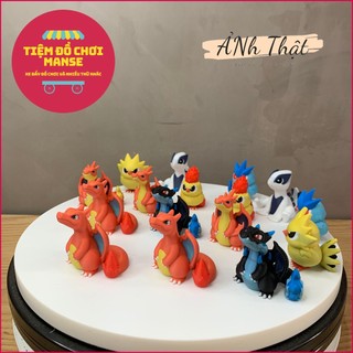 Mô hình Các Pokemon Mega Charizard, Charmander, Charmeleon, Tyranitar, Gyarados - Không Đụng Hàng