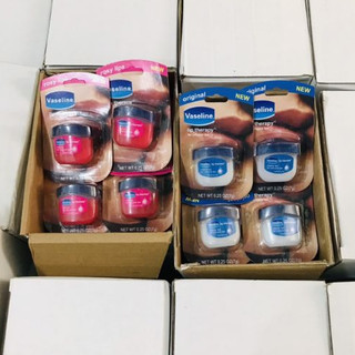 Bán sỉ - Lố 12 Vaseline dưỡng môi