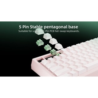 [HỎA TỐC HN - HCM] [In Stock] Pack 10 Switch WS Jade Green