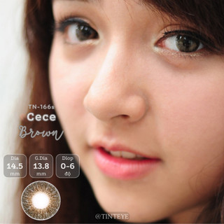 Kính áp tròng Tinteye Lens Nâu trầm siêu tự nhiên TN - 166s