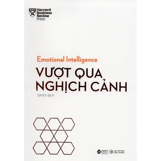 Sách - HBR Emotional Intelligence : Vượt Qua Nghịch Cảnh