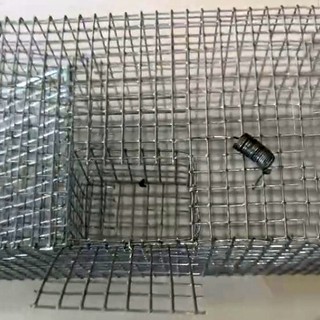 Combo 5 Lợp Rắn Mối