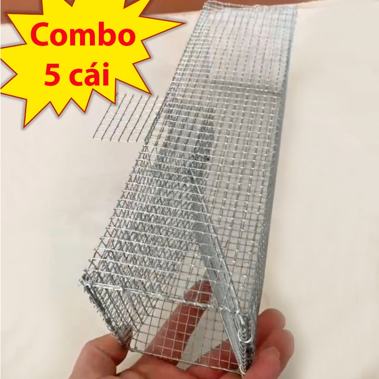 Combo 5 Lợp Rắn Mối