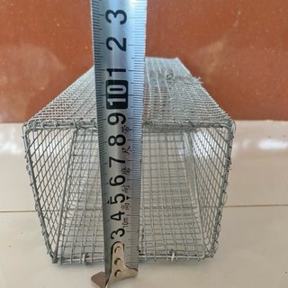 Combo 5 Lợp Rắn Mối