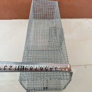 Combo 5 Lợp Rắn Mối
