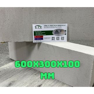 Gạch nhẹ AAC EBLOCK 600x300x100-GẠCH ĐIÊU KHẮC-TANK KIẾN