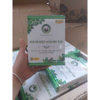 sâm bổ kiện thảo mộc nam