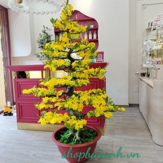 Cây mai giả - cây đào giả bonsai trang trí tết dòng lắp ráp tặng phụ kiện treo