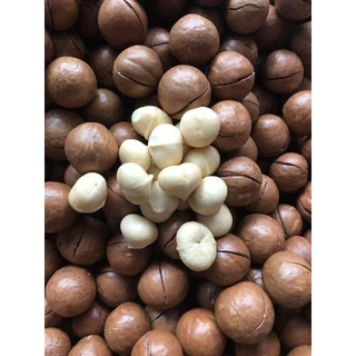 Hạt Macca DakLak size đại hũ pet 500g