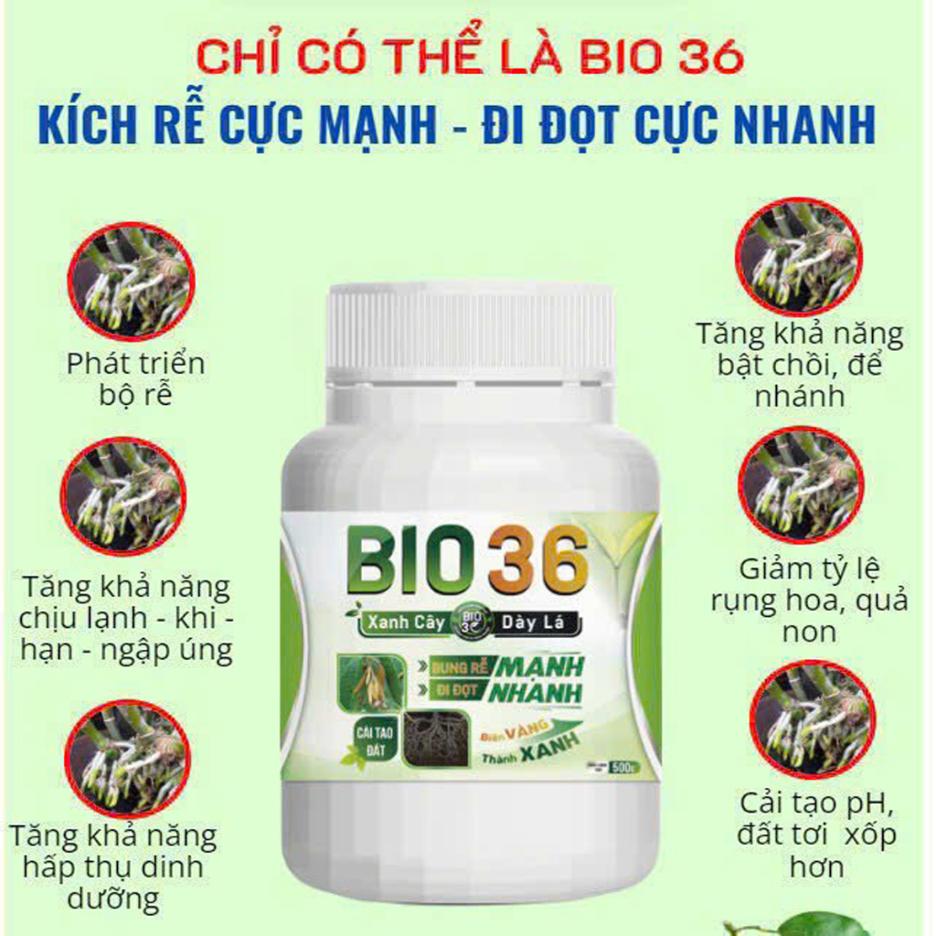 Bio36 Siêu Kích Rễ Siêu Đi Đọt (500g)