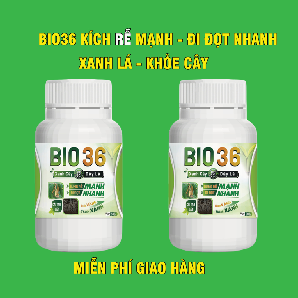 Combo Mua 2 Bio36 Kích Rễ Kích Đọt