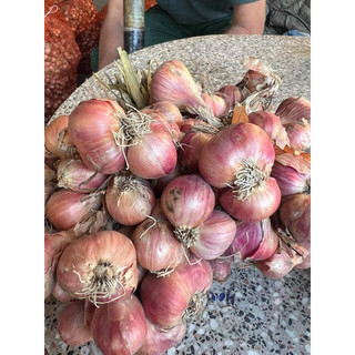 Hành Ta Hải Dương 1kg
