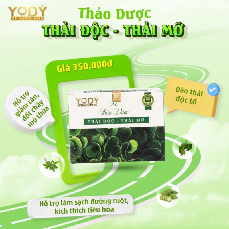 trà thải độc thãi mỡ phương anh