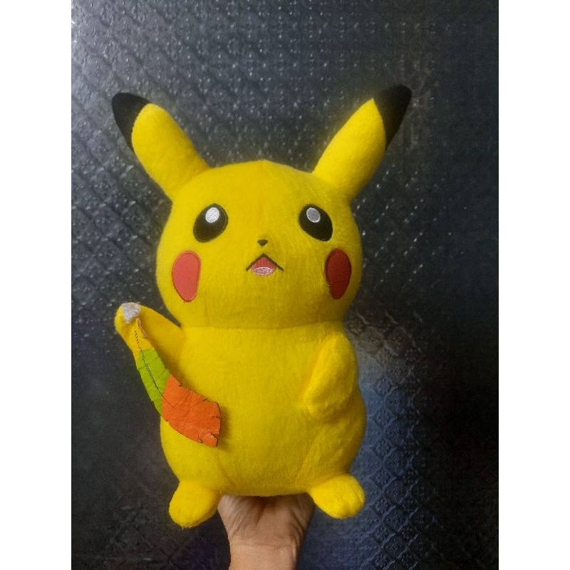 Chu cầm lông gà