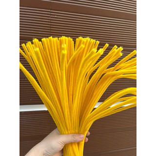 1 BÓ KẼM NHUNG( BÓ 100 CÀNH)