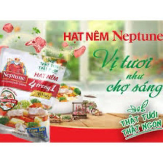 Hạt nêm Neptune vị heo - 500g