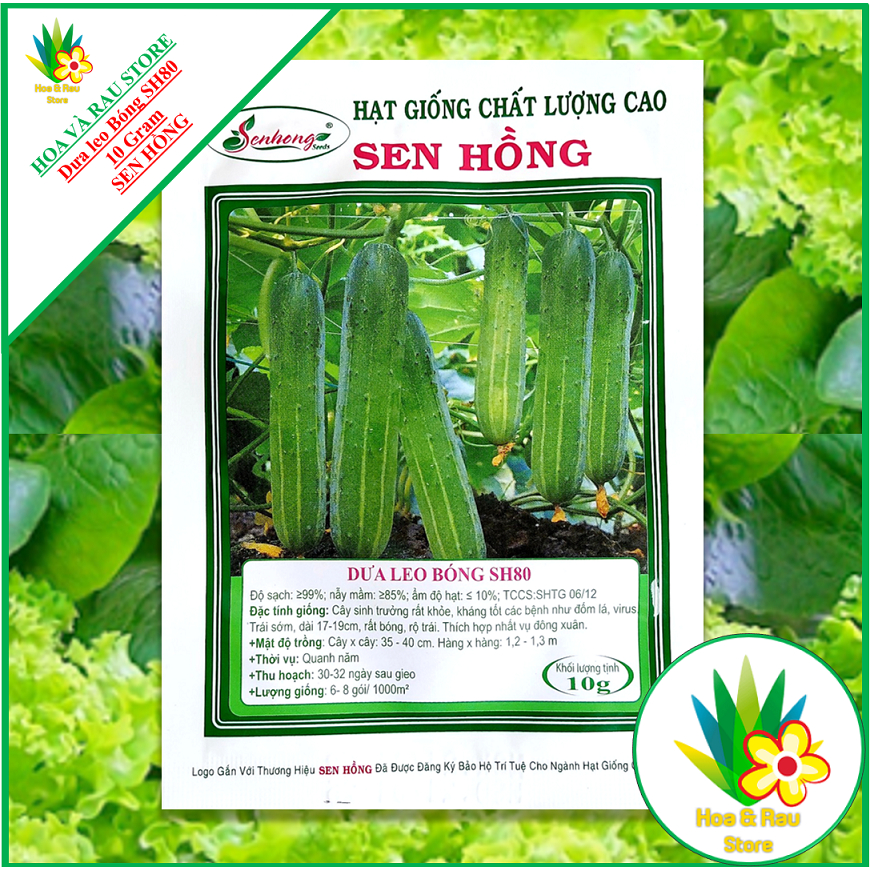 Hạt Giống DƯA LEO BÓNG SH80 -GÓI 10GR- SEN HỒNG SEED - HOA VÀ RAU STORE