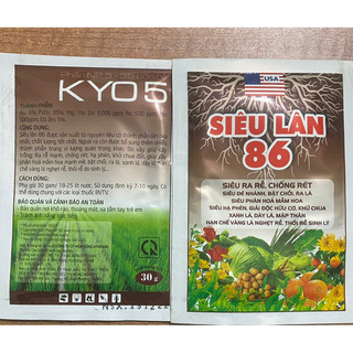 Siêu lân 86 -siêu ra rễ, đẻ nhánh, bật chồi , xanh lá