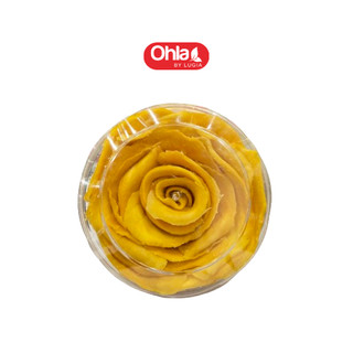 Hộp hoa xoài sấy dẻo Ohla 200g