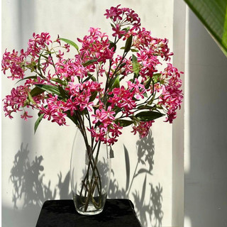 Bình hoa thủy tinh Libbey Bala 10 Vase