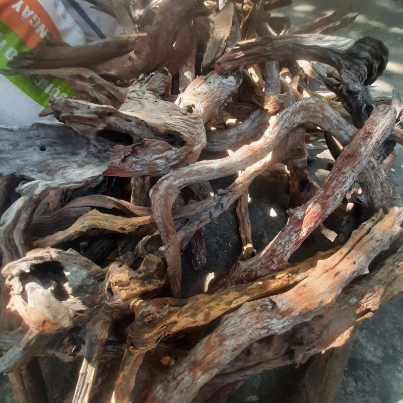 Lũa cành (theo chiều dài,)