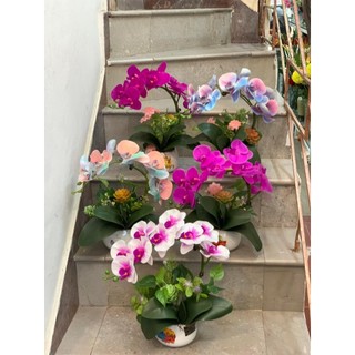 Chậu lan hồ điệp giả để bàn- lan hồ điệp trang trí - lan 7 bông- 9 bông
