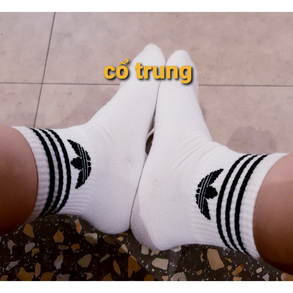 Tất vớ Adidas Cổ ngắn,cổ trung, cổ cao hai màu đen trắng tất thể thao