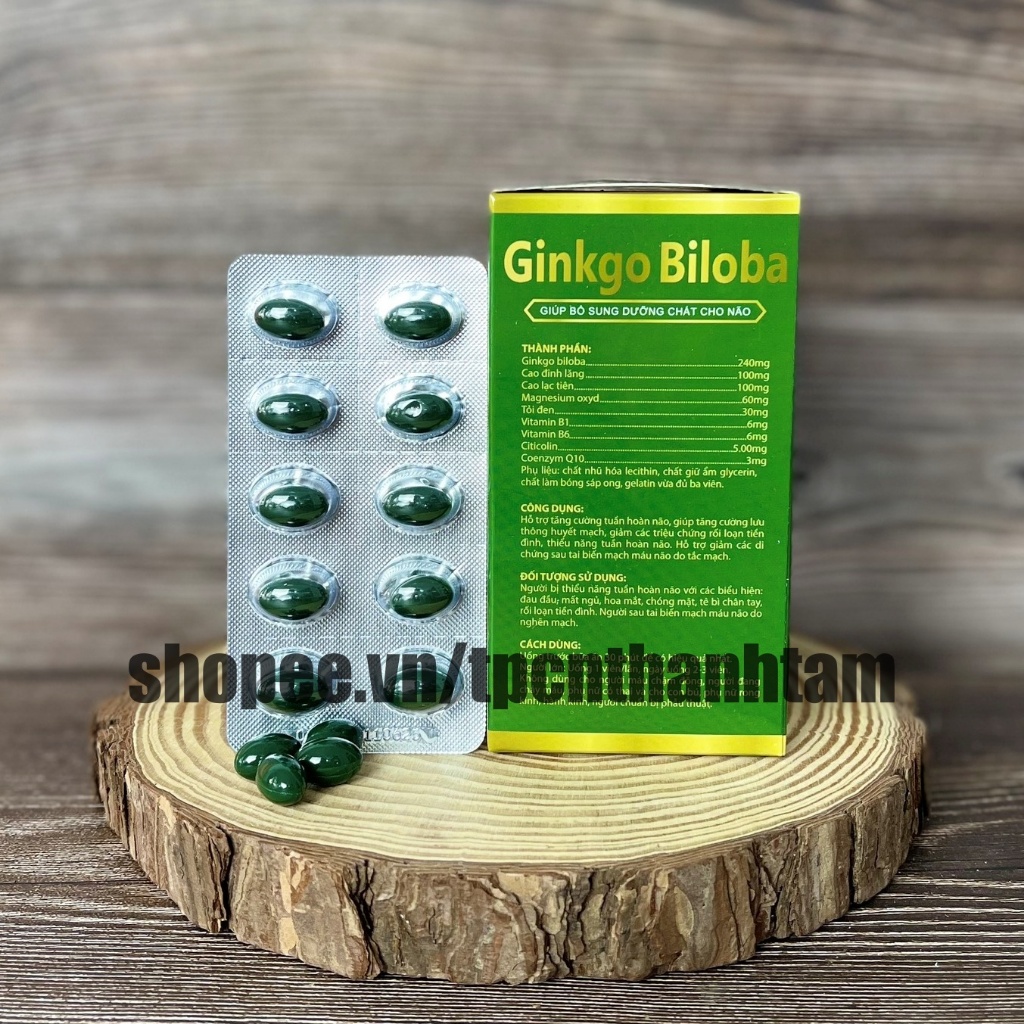 [240 Xanh Lá] Viên uống bổ não GINKGO BILOBA 240 giúp tăng cường trí nhớ, tuần hoàn máu não, ngừa tai biến – HỘP 100v