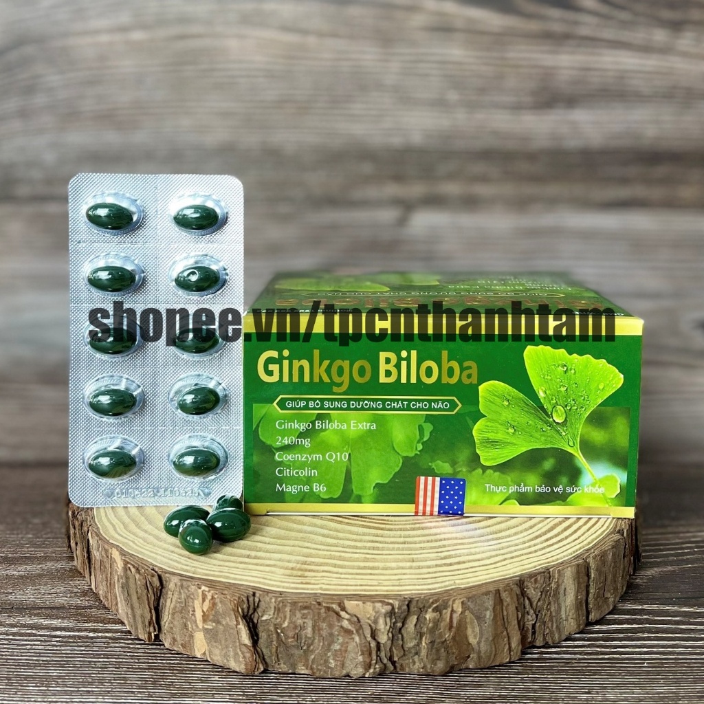 [240 Xanh Lá] Viên uống bổ não GINKGO BILOBA 240 giúp tăng cường trí nhớ, tuần hoàn máu não, ngừa tai biến – HỘP 100v
