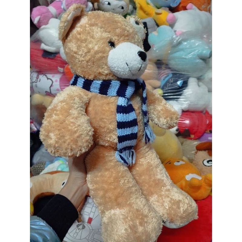 Gấu bông teddy size 50-55cm