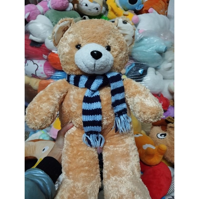 Gấu bông teddy size 50-55cm
