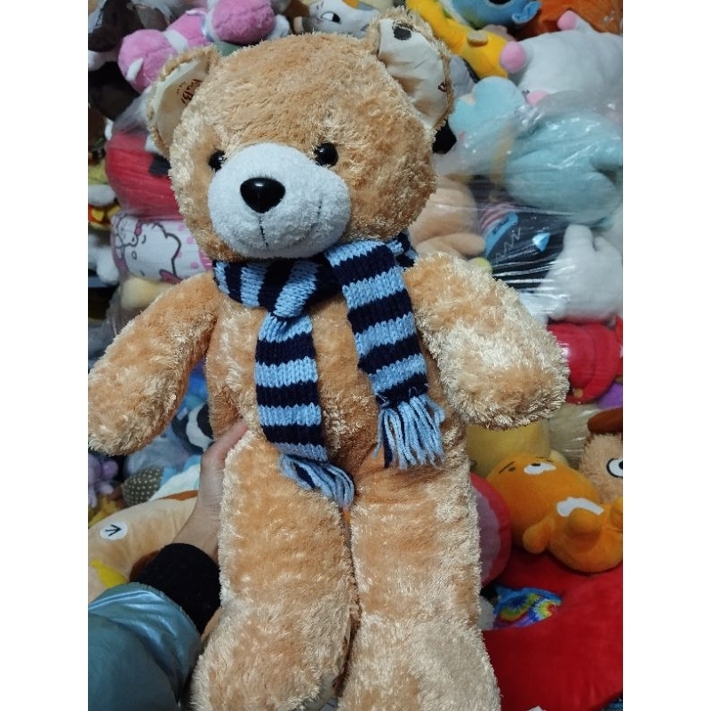 Gấu bông teddy size 50-55cm