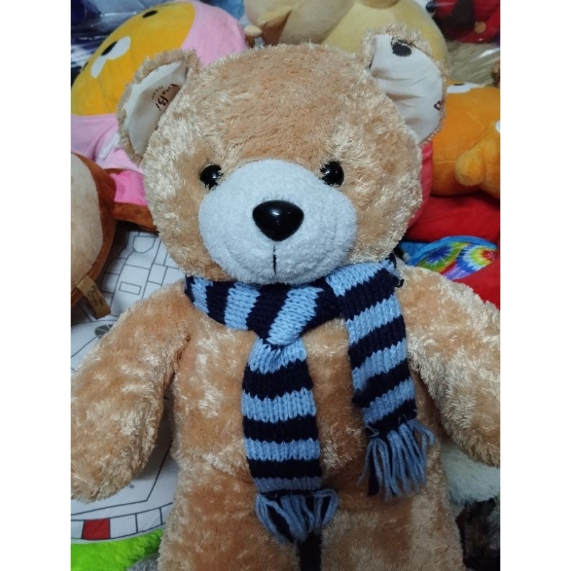 Gấu bông teddy size 50-55cm